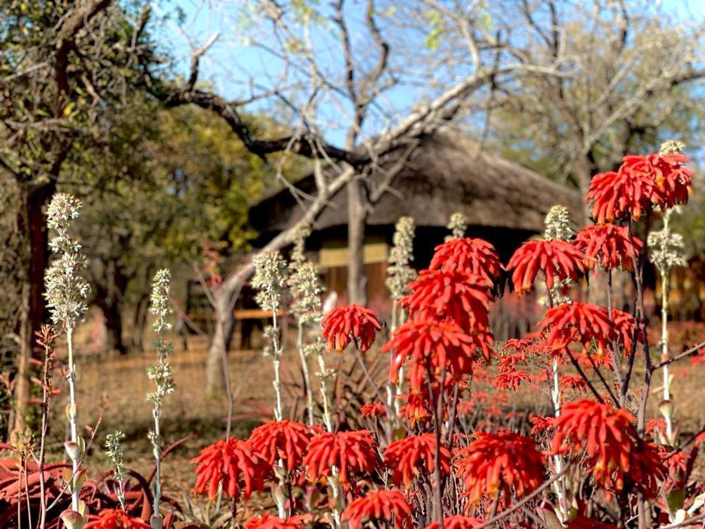Shayamoya Tiger Fishing And Game Lodge Pongola Kültér fotó
